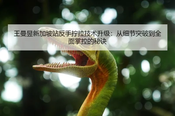 王曼昱新加坡站反手拧拉技术升级：从细节突破到全面掌控的秘诀